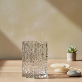 Váza Serenite 15x9,5x21 cm číra