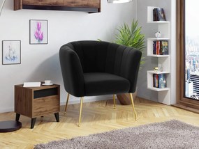Čalúnené kreslo Rimilo, Dostupné poťahy: Magic Velvet 2219