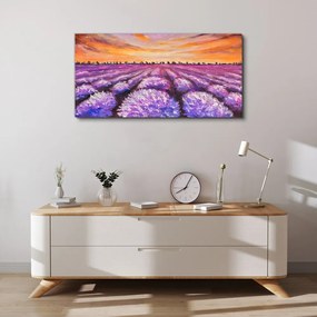 Obraz Canvas Levanduľové polia Západ slunce