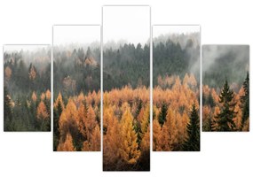 Obraz - Jesenný les (150x105 cm)