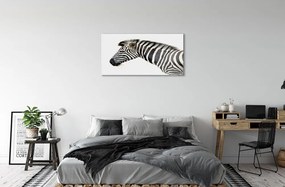 Sklenený obraz zebra 120x60 cm