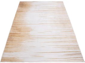 Koberec CANES KLXD220428