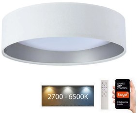 BPS Koncept LED Stmievateľné svietidlo SMART GALAXY LED/24W/230V pr. 45 cm Wi-Fi Tuya + DO BS0600