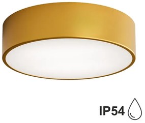 Brilagi - Kúpeľňové stropné svietidlo CLARE 2xE27/24W/230V pr. 30 cm IP54 zlatá