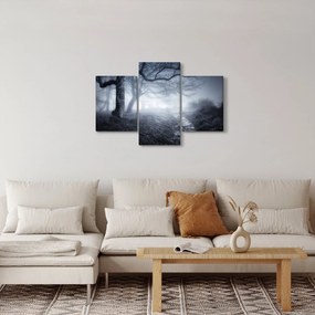 Obraz - Cesta v hmle (90x60 cm)