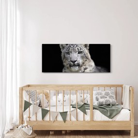 Obraz - Leopard snežný (120x50 cm)