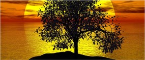 Obraz siluety stromu (120x50 cm)