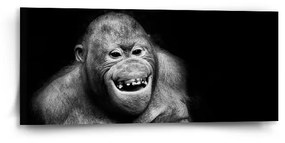 Sablio Obraz Orangután - 110x50 cm