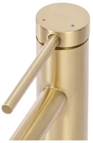 REA-B5319 - Umývadlová batéria FOSS 29,5 cm brúsené zlato