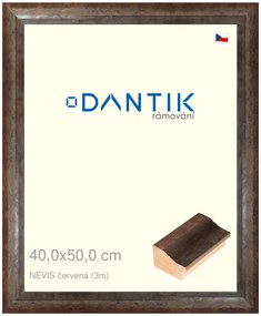 DANTIK rám na obraz 40x50 | NEVIS červená (Sklo Čiré)