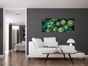Obraz - Kaktusy (120x50 cm)
