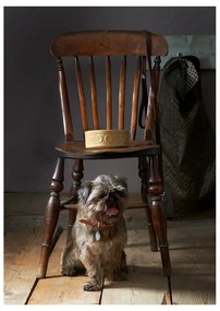 Kameninová miska pre psov Mason Cash Dog Cane, ø 25 cm