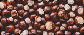 Obraz - Zrelé gaštany (120x50 cm)