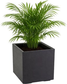 Sada 2 ks květináčů BETONIQUE 40x40/60x40 cm beton černá