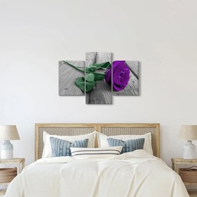 Obraz - Fialová ruža so zelenou stonkou (90x60 cm)