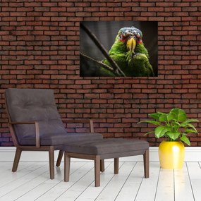 Sklenený obraz papagája (70x50 cm)