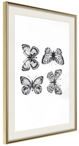 Artgeist Plagát - Four Butterflies [Poster] Veľkosť: 20x30, Verzia: Zlatý rám s passe-partout