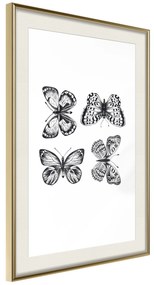 Artgeist Plagát - Four Butterflies [Poster] Veľkosť: 30x45, Verzia: Zlatý rám s passe-partout