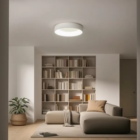 Brilagi - LED Stmievateľné stropné svietidlo FALCON LED/80W/230V 3000-6500K + DO