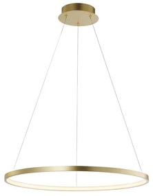 Leuchten Direkt 11524-12 - LED Luster na lanku CIRCLE LED/28,5W/230V
