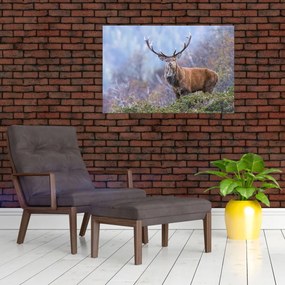 Obraz - Jeleň v krajine (90x60 cm)