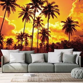 Tapeta kokosové palmy na pláži - 150x100