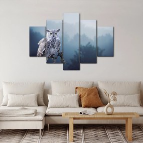 Obraz - Sova snežná (150x105 cm)
