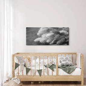 Obraz - bunny tail grass na stole (120x50 cm)