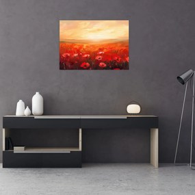 Obraz - Pole vlčích makov (70x50 cm)
