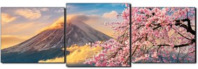 Obraz na plátne - Hora Fuji a čerešňové kvety na jar - panoráma 5266D (150x50 cm)