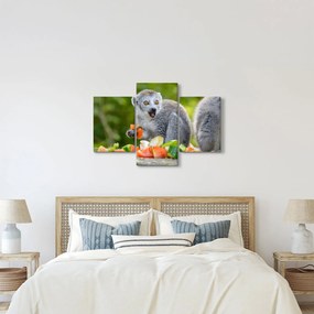 Obraz lemura (90x60 cm)