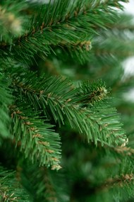 Limpol Jedľa Renata 2,20 m