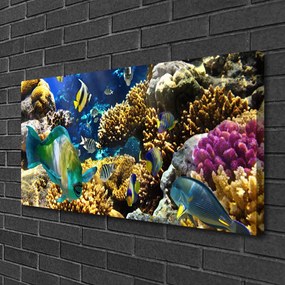 Obraz na plátne Koralový útes príroda 140x70 cm