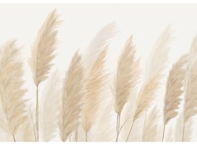 Fototapeta XXL Pampas 360 x 254 cm, 4 diely