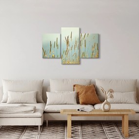 Obraz - Lúčny okamih (90x60 cm)