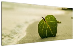 Obraz listu v piesku (120x50 cm)