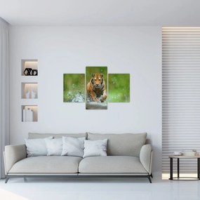 Obraz - Bežiaci tiger (90x60 cm)