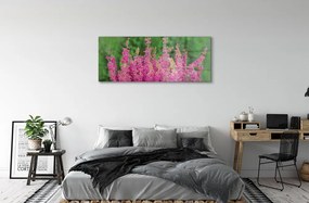 Obraz plexi Kvety vresy 120x60 cm
