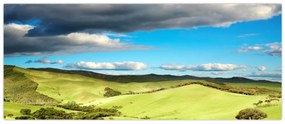 Obraz - Zelená krajina s pahorkami (120x50 cm)