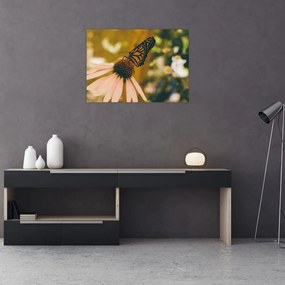 Obraz motýľa na kvetine (70x50 cm)