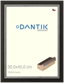 DANTIK rám na obraz 30x40 | TAIGA černá (Plexi Čiré)