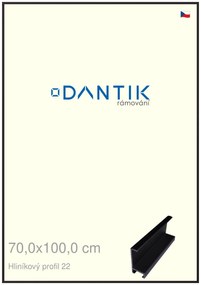 DANTIK rám na obraz 70x100 | ALU Černá matná (Plexi Čiré)