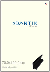 DANTIK rám na obraz 70x100 | ALU Černá matná (Plexi Čiré)