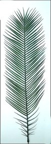 Umelý palmový list- 100cm