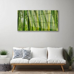 Skleneny obraz Bambusový les bambusové výhonky 140x70 cm