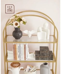 Zlatá knižnica GLASY