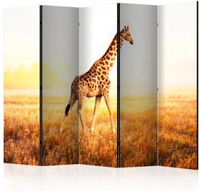 Artgeist Paraván - giraffe - walk [Room Dividers]