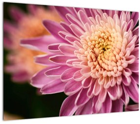 Detailný obraz kvetu (70x50 cm)