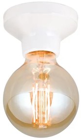 Orion - Stropné svietidlo FROST 1xE27/60W/230V biela