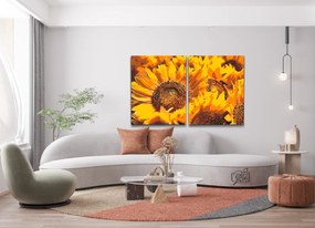 Gario Maľovanie podľa čísel Slnečnica - 2 dielny Rozmery: 160 x 100 cm, Rámovanie: S vnútorným rámom